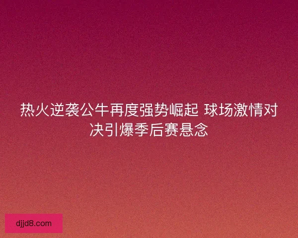 热火逆袭公牛再度强势崛起 球场激情对决引爆季后赛悬念